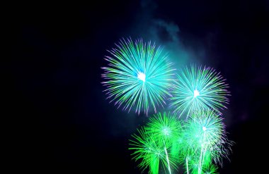 Stunning Vibrant blue and green fireworks exploding in to the night sky clipart