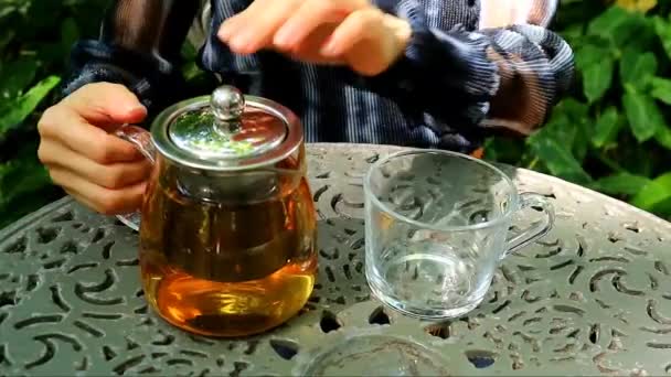 Видеозапись Женщины Наливающей Горячий Чай Прозрачную Чашку Садовый Стол — стоковое видео
