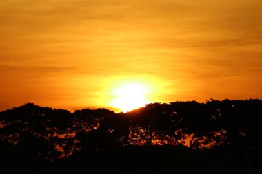 Göz kamaştırıcı altın gökyüzünde güzel, parlak güneş batıyor.