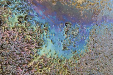 Yağmurdan sonra yollarda çok renkli araba yağlanıyor.