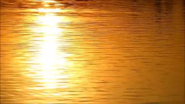 Altın su dalgalarının görüntüsü güneş ışığında parlıyor.