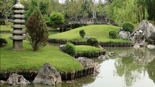 Images Jardin Japonais Luxuriant Avec Des Îles Tortues Dans Étang — Video