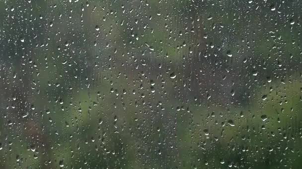 Filmaufnahmen Von Regentropfen Auf Fensterscheiben Einem Regnerischen Tag — Stockvideo