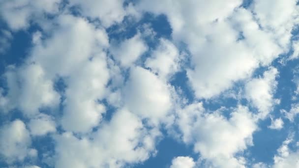 白いふわふわの雲の映像 鮮やかな青い空に浮かぶ — ストック動画
