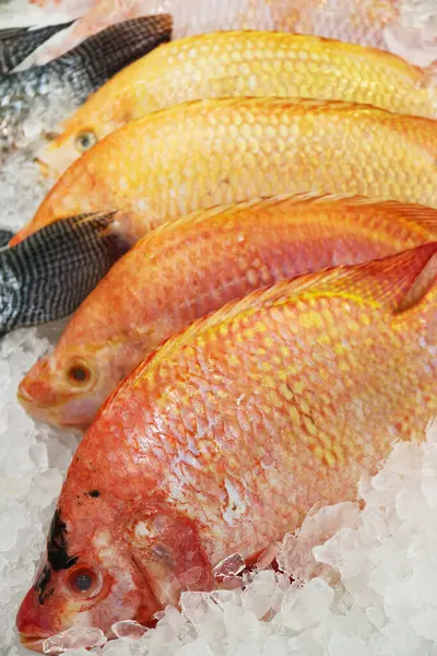 stock image Red Tilapia Fish for Sale on the Local Market