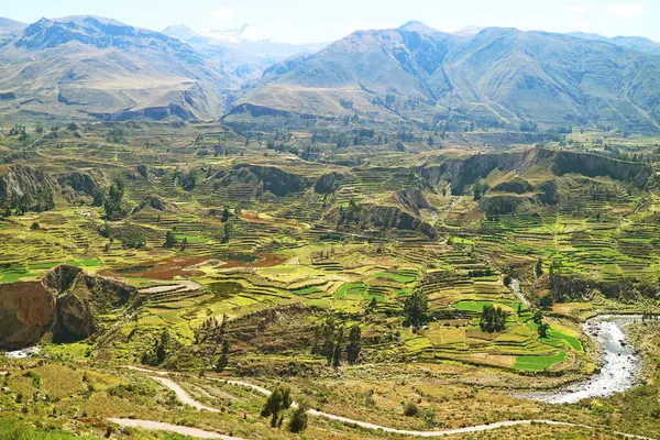 stock image Stunning Aerial View of Agricultural Terraces in Colca Canyon, Arequipa Region, Peru, South America