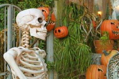 Kafatası ve Cadılar Bayramı Dekorasyonu için Balkabağı Jack O 'Lantern' in birçok iskeleti