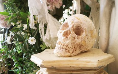 Cadılar Bayramı Dekorasyonu İçin Bahçedeki Kafatası Taklit Et