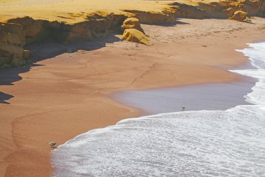 Playa Roja 'daki Vahşi Kuşlar ya da Kızıl Kumsal, Paracas Ulusal Rezervi, Paracas Yarımadası, Peru, Güney Amerika