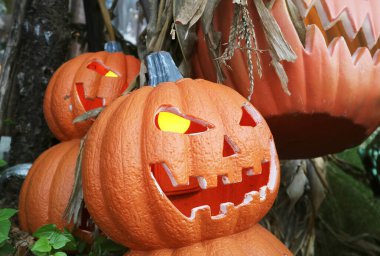 Cadılar Bayramı 'nın Kapanışı Jack O Lantern Balkabağı Arka Bahçede