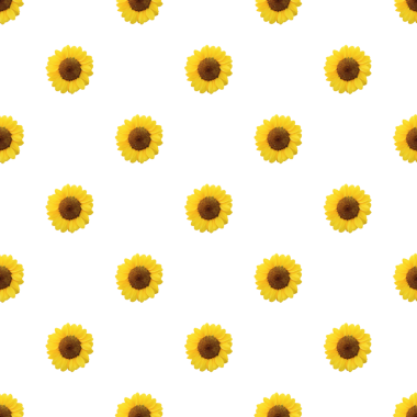 Şeffaf Arkaplanda izole edilmiş Kusursuz Sarı Ayçiçeği Deseni, PNG dosyası