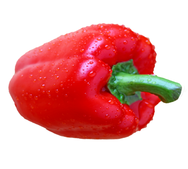 Şeffaf arkaplanda izole edilmiş su damlacıkları olan canlı kırmızı çan biberinin yakın plan görüntüsü, PNG dosyası