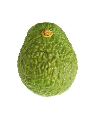 Taze Olgun Avokado Tüm Meyveleri Şeffaf Arkaplanda İzole Edildi, PNG Dosyası