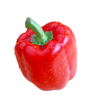 Şeffaf arkaplan üzerinde su damlacıkları olan kırmızı bir dolma biberin yakın plan görüntüsü, PNG dosyası
