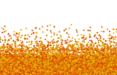 Illustration of Pile of Fallen Maple Leaves on transparent background, png file