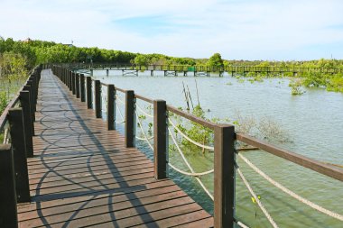 Tayland Körfezi 'nin mangrov ormanları boyunca tahta kaldırım.