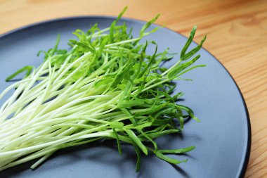 Tahta zemin üzerinde taze toplanmış su tabakası ıspanak hidrofonik mikroçimler