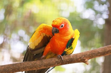 Güneşin altında gerinen Güzel Güneş