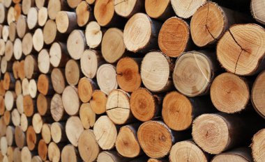 Arkaplan ve duvar kağıdı için kesilmiş tahta kütükleri yığını