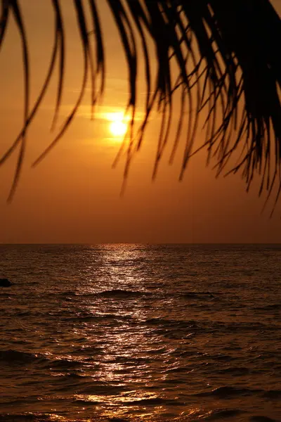 Muhteşem altın deniz manzarasının üzerinde yükselen parlak güneş