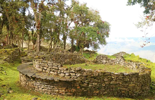 Dış duvarında ikonik geometrik deseni olan antik taş yuvarlak ev kalıntıları, Kuelap arkeolojik alanı, Amazon bölgesi, Peru, Güney Amerika