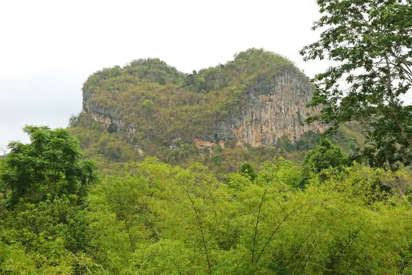 Thepphitak Dağı, İnanılmaz Yürekli Dağ, Ratchaprapha Barajı 'nın (Chiao Lan Barajı) yanındaki Wat Khao Phang Tapınağı' nın arkasında, Surat Thani, Tayland
