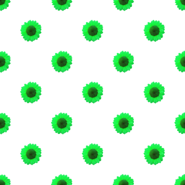 Kireç Yeşil Ayçiçeklerinin kusursuz deseni Şeffaf Arkaplanda izole edildi, PNG dosyası