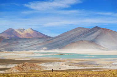 Salar de Talar 'ın inanılmaz manzarası, Los Flamencos Ulusal Rezervi' ndeki High Plateau Tuz Gölleri, Antofagasta Bölgesi, Kuzey Şili, Güney Amerika