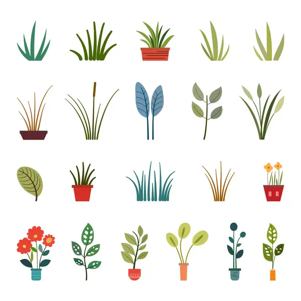Collection Seasons Vector Grass Leaf Flower Natural Organic Bio Eco — Stock Vector