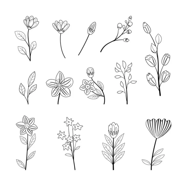 Conjunto Flores Desenhadas Mão Doodle Isolado Fundo Branco Vetor Ilustração — Vetor de Stock