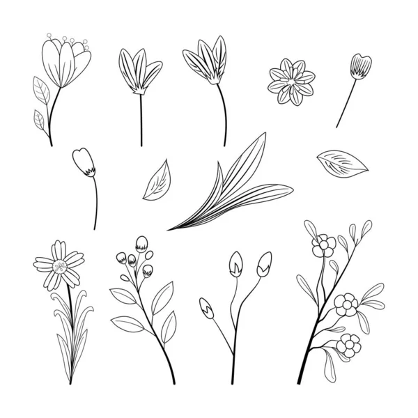 Uppsättning Handritade Klotter Blommor Linje Stil Skönhet Elegant Illustration Dekoration — Stock vektor