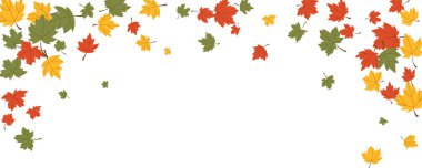 Renkli akçaağaçlı sonbahar afişi, elementlerin resimlerini bırakır. Doğal mevsimsel, soyut