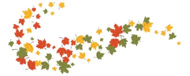 Doğa yüzen akçaağaç yaprakları uçan dekorasyon sonbahar çizim vektörü