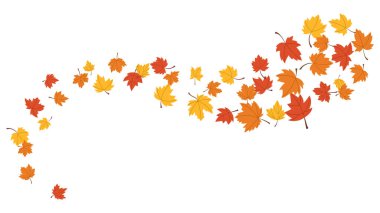 Akçaağaç yapraklı sonbahar sembolü sarı, kırmızı, turuncu element rüzgarda dalgalanıyor. Sonbahar sezonu