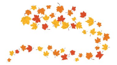 Maple leaf flying from tree on transparent background. fall season, wave cold air during windy weather. symbol clipart