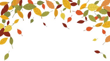 Kırmızı, turuncu, sarı, kahverengi ve yeşil sonbahar yaprakları için arka plan şablonu metin için boş boşluk