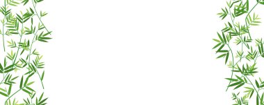 Yeşil bambu yaprakları arka plan kapak sayfası ya da afiş tasarımı. Üst ve alt kısımları pürüzsüz. tropik