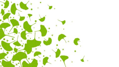 Yeşil yapraklı çerçeve, saydam boş bir boşlukta uçuyor. vektör davet kartı ekosu