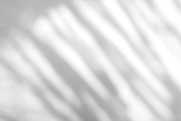 Schaduw Van Palmbladeren Zwaaien Wind Witte Achtergrond — Stockfoto