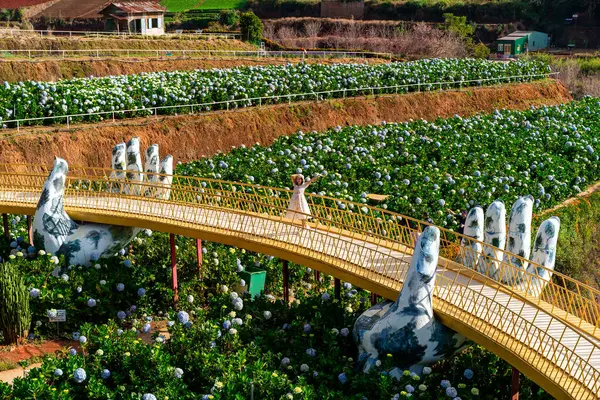 Junge Reisende Genießen Den Blühenden Hortensiengarten Dalat Vietnam Reisekonzept lizenzfreie Stockbilder