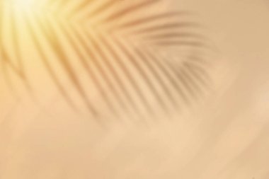 Palmiye yapraklarının gölgesi renk arka planında rüzgarda sallanıyor