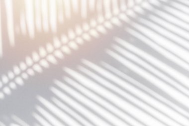 Palmiye yapraklarının gölgesi rüzgarda sallanıyor beyaz arka planda