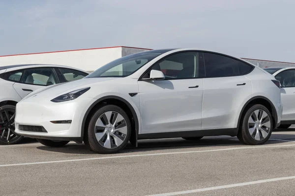 Indianapolis Circa Maart 2023 Tesla Model Display Bij Een Dealer — Stockfoto