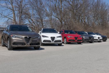 Indianapolis - Takriben Mart 2023: Alfa Romeo Stelvio Sprint SUV bir galeride sergilenmektedir. Alfa Romeo Stelvio 'ya 2.0L turbo dört silindirli motor sunar..