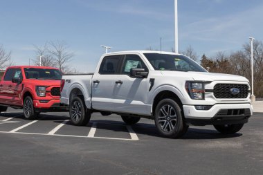 Plainfield - Nisan 2023: Ford F-150 bir galeride sergileniyor. Ford F150 XL, XLT, Lariat, King Ranch, Platinum ve Limited modellerinde mevcuttur..