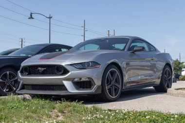 Indianapolis - Mayıs 2023: Ford Mustang sergisi bir galeride. Ford Mustang 'e GT, Mach 1 veya Shelby GT500 gibi temel modeller sunar..
