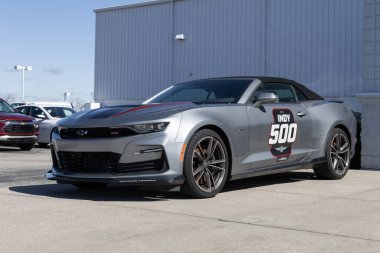 Plainfield, 10 Mart 2024 Chevrolet Camaro bir galeride sergileniyor. Indy 500 'ün resmi arabası Chevy, IMS' ye araba ve kamyon sağlıyor. Benim: 2023