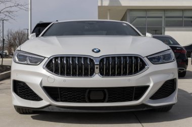 Lafayette - 12 Mart 2024: Kullanılmış BMW 8 Serisi M850i xDrive ekran. Arz sorunlarıyla, BMW talebi karşılamak için kontörlü araba alıp satıyor. MY:2021