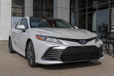Lafayette - 12 Mart 2024: Toyota Camry XLE bir galeride sergileniyor. Toyota Camry 'yi LE, SE, XLE, XSE ve TRD modellerinde sunar. MY:2024