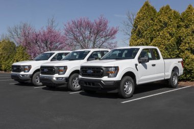 Zionsville - 14 Nisan 2024: Ford F-150 bir galeride sergileniyor. Ford F150 XL, XLT, Lariat, King Ranch, Platinum ve Limited modellerinde mevcuttur..